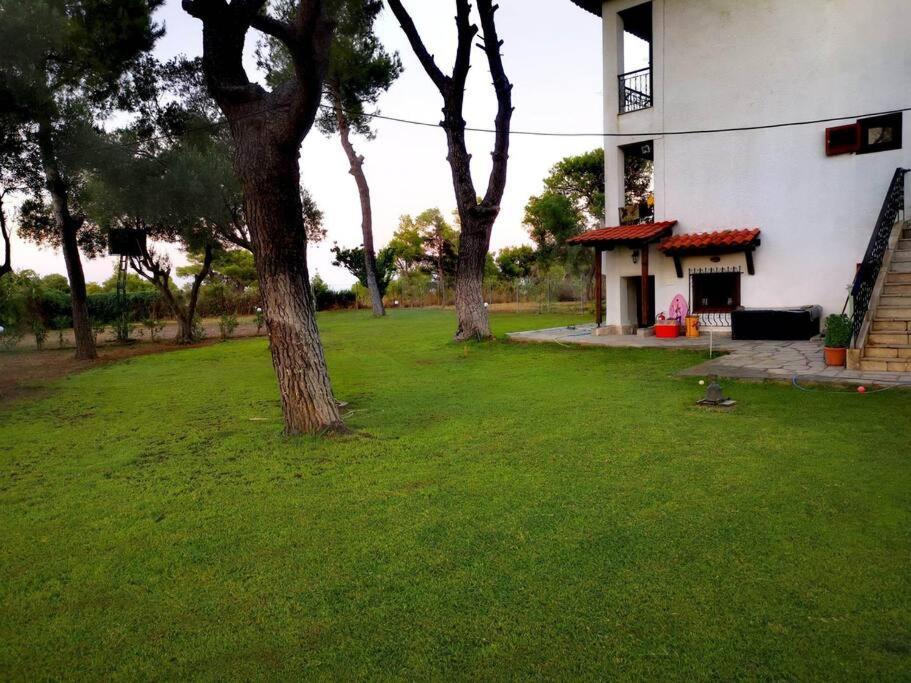 Golden Summer Apartment Nea Fokea Exterior photo